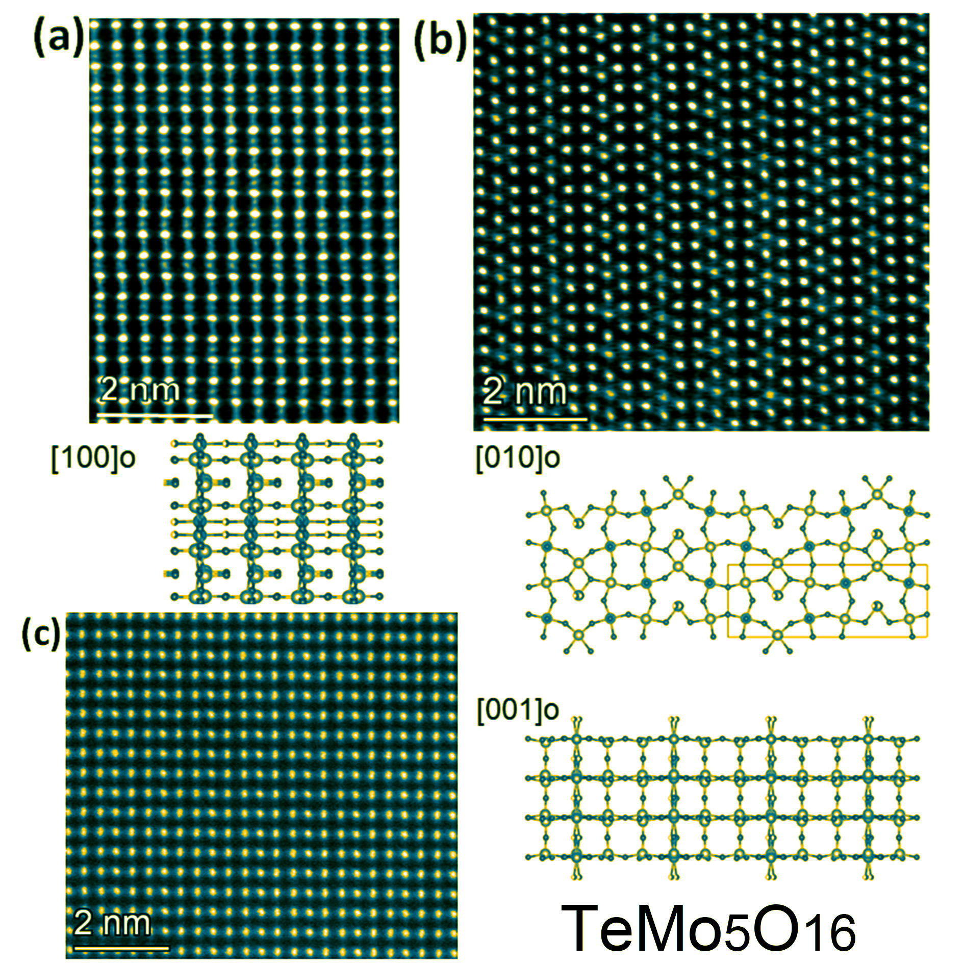 TMO-c.jpg